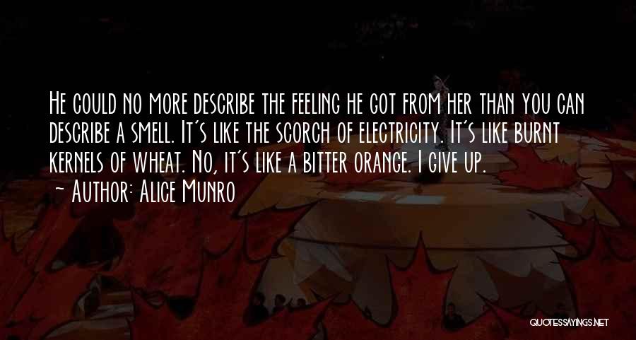 Alice Munro Quotes: He Could No More Describe The Feeling He Got From Her Than You Can Describe A Smell. It's Like The