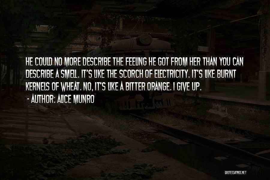 Alice Munro Quotes: He Could No More Describe The Feeling He Got From Her Than You Can Describe A Smell. It's Like The