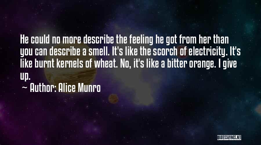Alice Munro Quotes: He Could No More Describe The Feeling He Got From Her Than You Can Describe A Smell. It's Like The