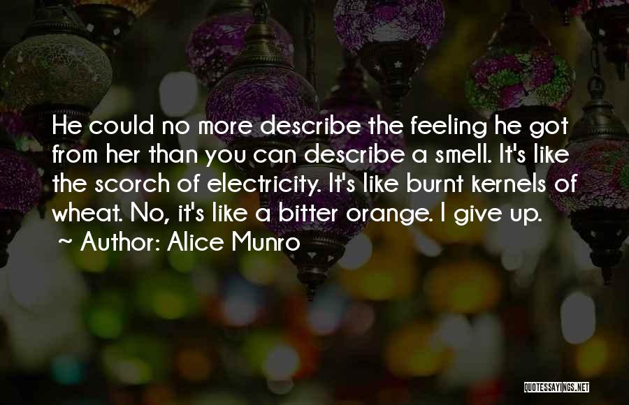 Alice Munro Quotes: He Could No More Describe The Feeling He Got From Her Than You Can Describe A Smell. It's Like The