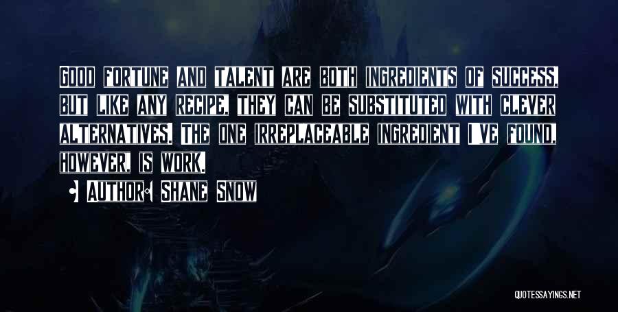 Shane Snow Quotes: Good Fortune And Talent Are Both Ingredients Of Success, But Like Any Recipe, They Can Be Substituted With Clever Alternatives.