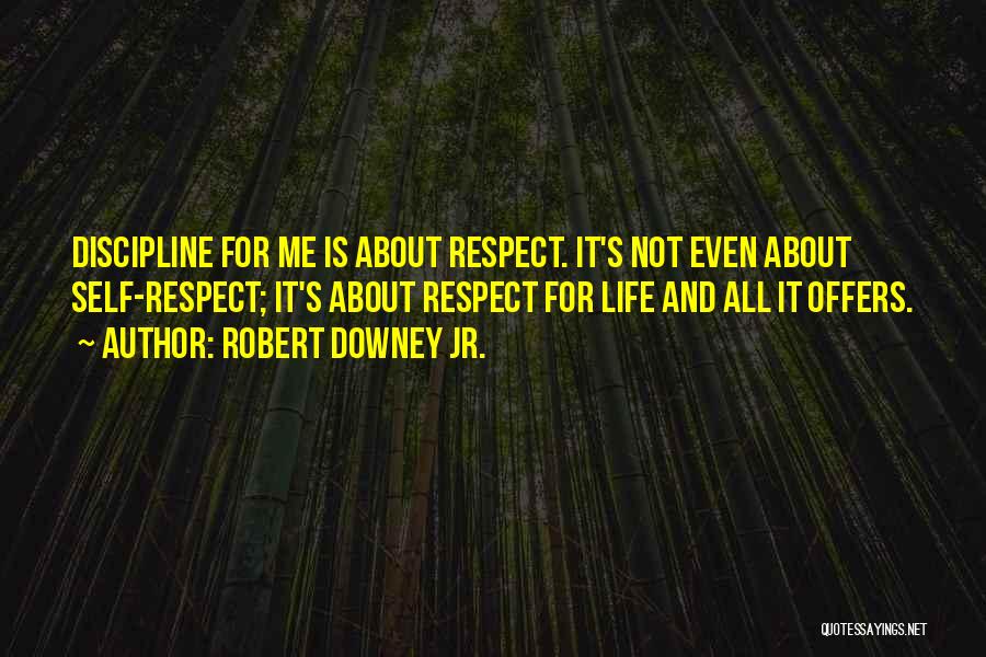 Robert Downey Jr. Quotes: Discipline For Me Is About Respect. It's Not Even About Self-respect; It's About Respect For Life And All It Offers.