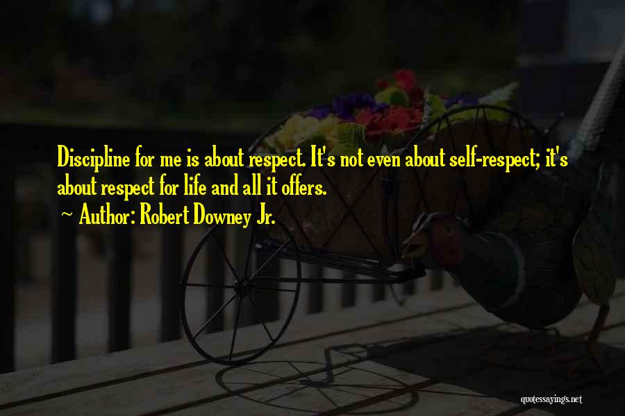 Robert Downey Jr. Quotes: Discipline For Me Is About Respect. It's Not Even About Self-respect; It's About Respect For Life And All It Offers.