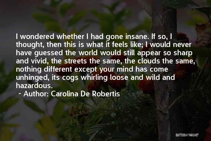 Carolina De Robertis Quotes: I Wondered Whether I Had Gone Insane. If So, I Thought, Then This Is What It Feels Like; I Would