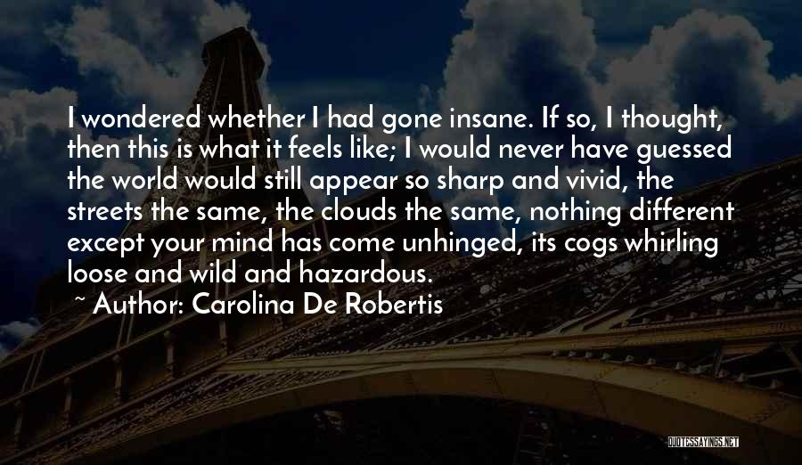 Carolina De Robertis Quotes: I Wondered Whether I Had Gone Insane. If So, I Thought, Then This Is What It Feels Like; I Would