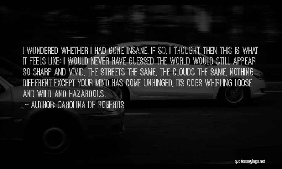 Carolina De Robertis Quotes: I Wondered Whether I Had Gone Insane. If So, I Thought, Then This Is What It Feels Like; I Would