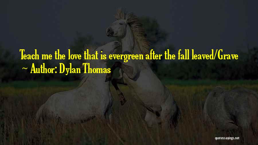 Dylan Thomas Quotes: Teach Me The Love That Is Evergreen After The Fall Leaved/grave