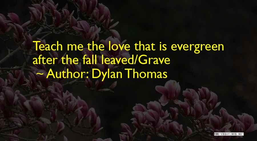 Dylan Thomas Quotes: Teach Me The Love That Is Evergreen After The Fall Leaved/grave