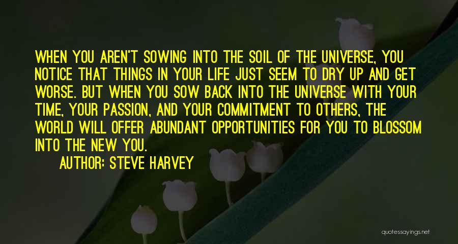 Steve Harvey Quotes: When You Aren't Sowing Into The Soil Of The Universe, You Notice That Things In Your Life Just Seem To