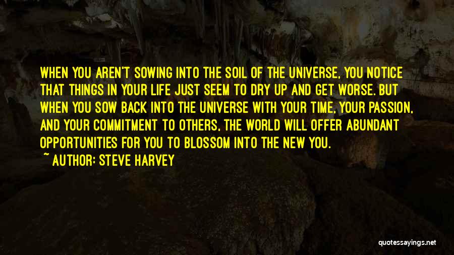 Steve Harvey Quotes: When You Aren't Sowing Into The Soil Of The Universe, You Notice That Things In Your Life Just Seem To