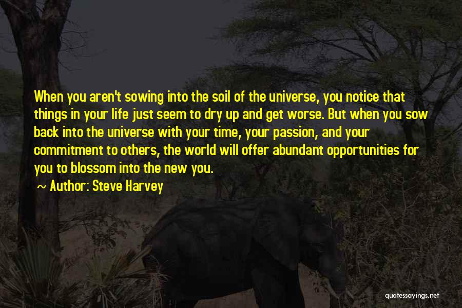 Steve Harvey Quotes: When You Aren't Sowing Into The Soil Of The Universe, You Notice That Things In Your Life Just Seem To