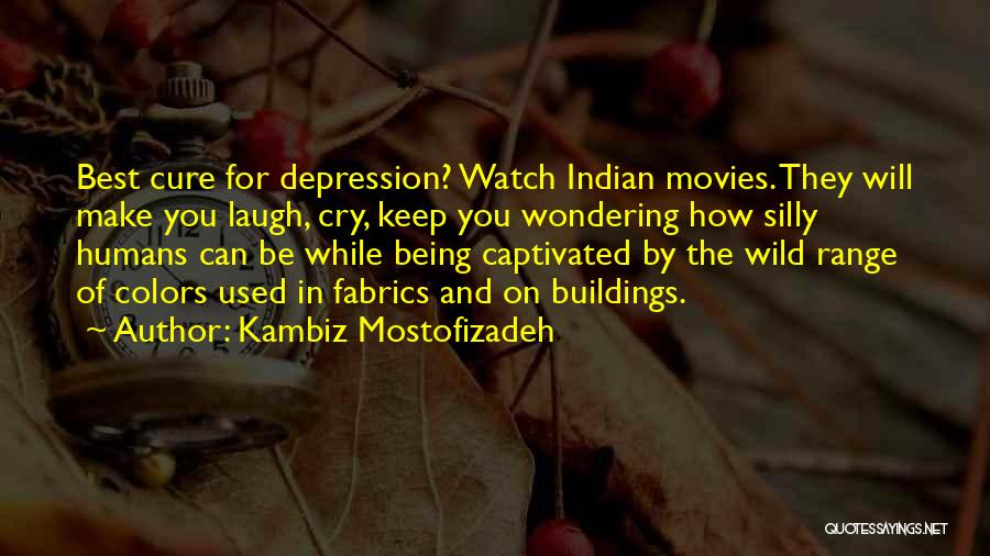 Kambiz Mostofizadeh Quotes: Best Cure For Depression? Watch Indian Movies. They Will Make You Laugh, Cry, Keep You Wondering How Silly Humans Can