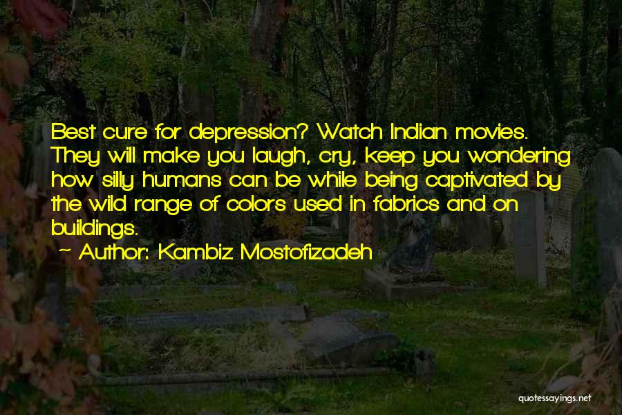 Kambiz Mostofizadeh Quotes: Best Cure For Depression? Watch Indian Movies. They Will Make You Laugh, Cry, Keep You Wondering How Silly Humans Can