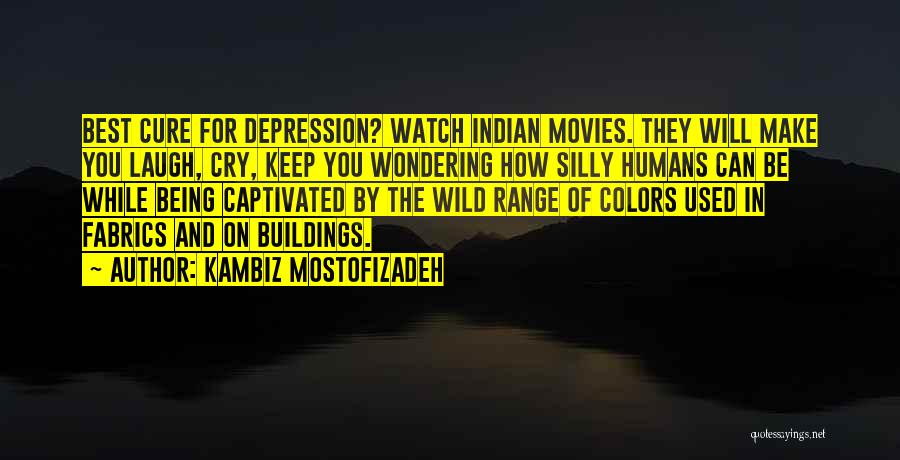 Kambiz Mostofizadeh Quotes: Best Cure For Depression? Watch Indian Movies. They Will Make You Laugh, Cry, Keep You Wondering How Silly Humans Can