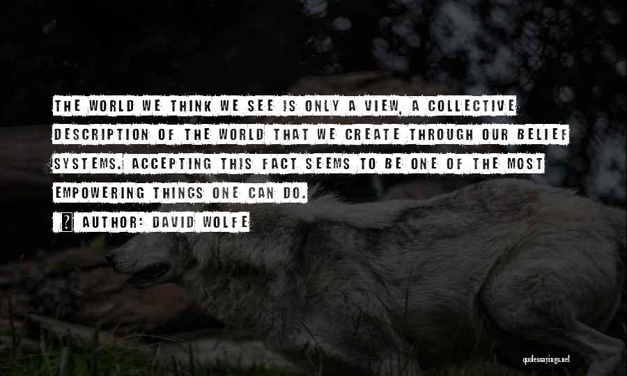 David Wolfe Quotes: The World We Think We See Is Only A View, A Collective Description Of The World That We Create Through