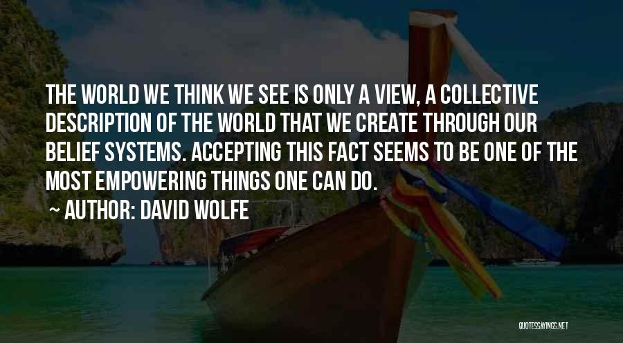 David Wolfe Quotes: The World We Think We See Is Only A View, A Collective Description Of The World That We Create Through