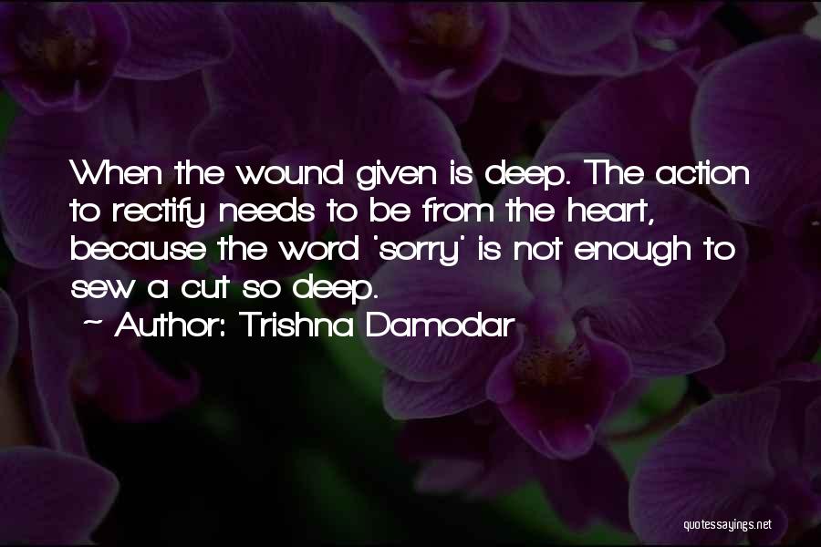 Trishna Damodar Quotes: When The Wound Given Is Deep. The Action To Rectify Needs To Be From The Heart, Because The Word 'sorry'