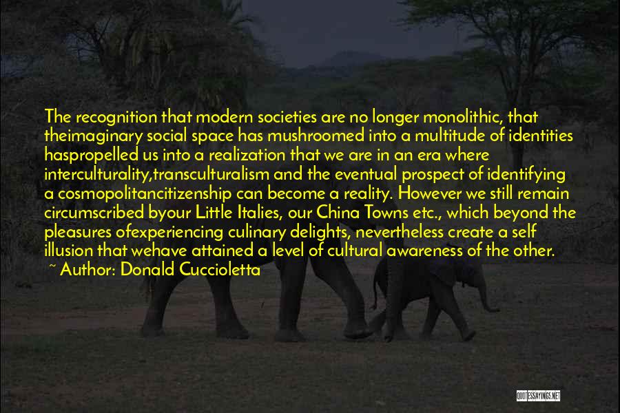 Donald Cuccioletta Quotes: The Recognition That Modern Societies Are No Longer Monolithic, That Theimaginary Social Space Has Mushroomed Into A Multitude Of Identities