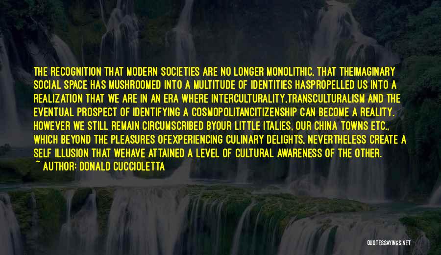 Donald Cuccioletta Quotes: The Recognition That Modern Societies Are No Longer Monolithic, That Theimaginary Social Space Has Mushroomed Into A Multitude Of Identities