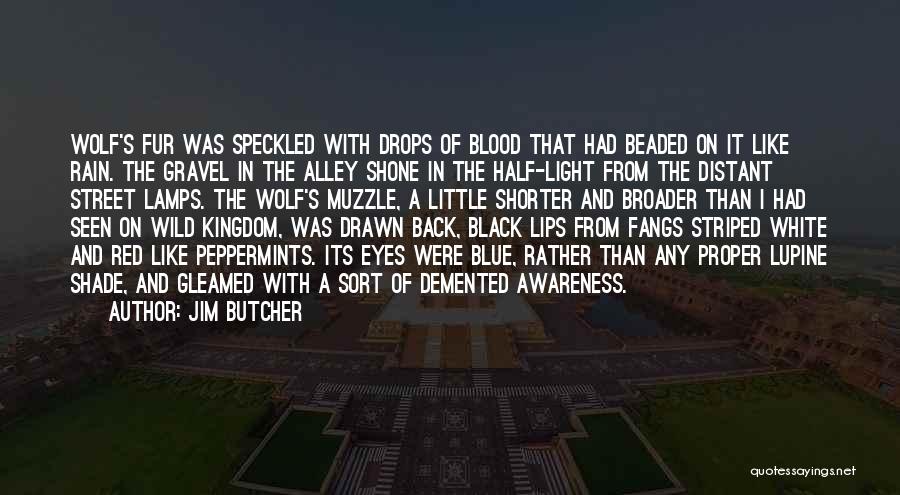 Jim Butcher Quotes: Wolf's Fur Was Speckled With Drops Of Blood That Had Beaded On It Like Rain. The Gravel In The Alley