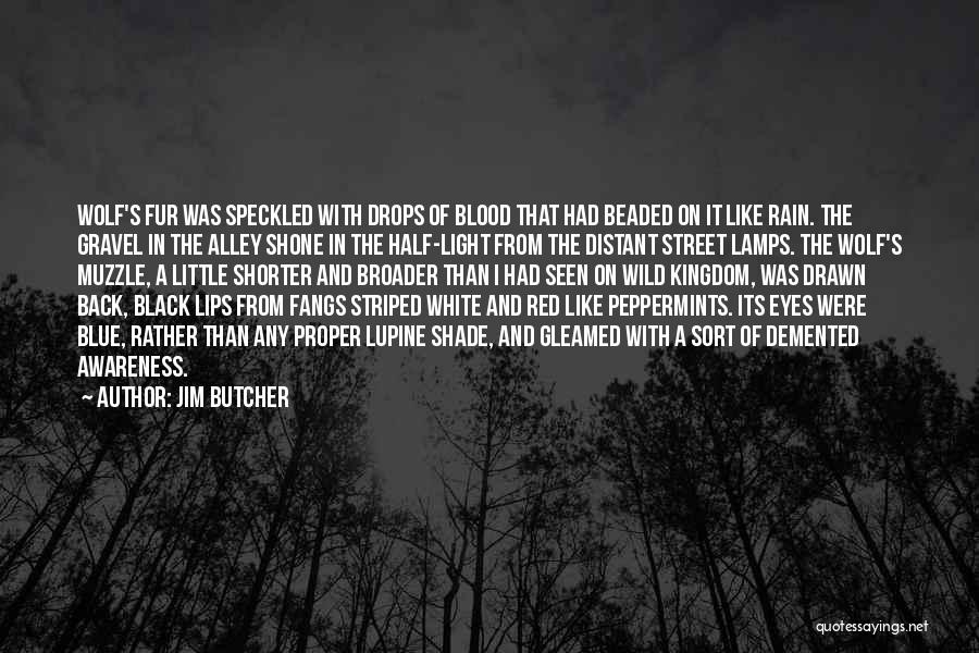 Jim Butcher Quotes: Wolf's Fur Was Speckled With Drops Of Blood That Had Beaded On It Like Rain. The Gravel In The Alley