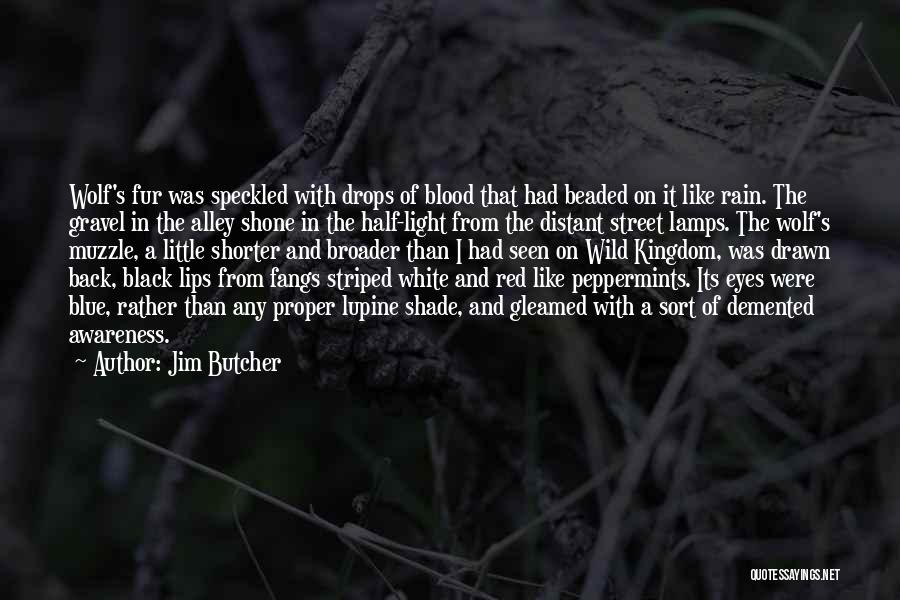 Jim Butcher Quotes: Wolf's Fur Was Speckled With Drops Of Blood That Had Beaded On It Like Rain. The Gravel In The Alley