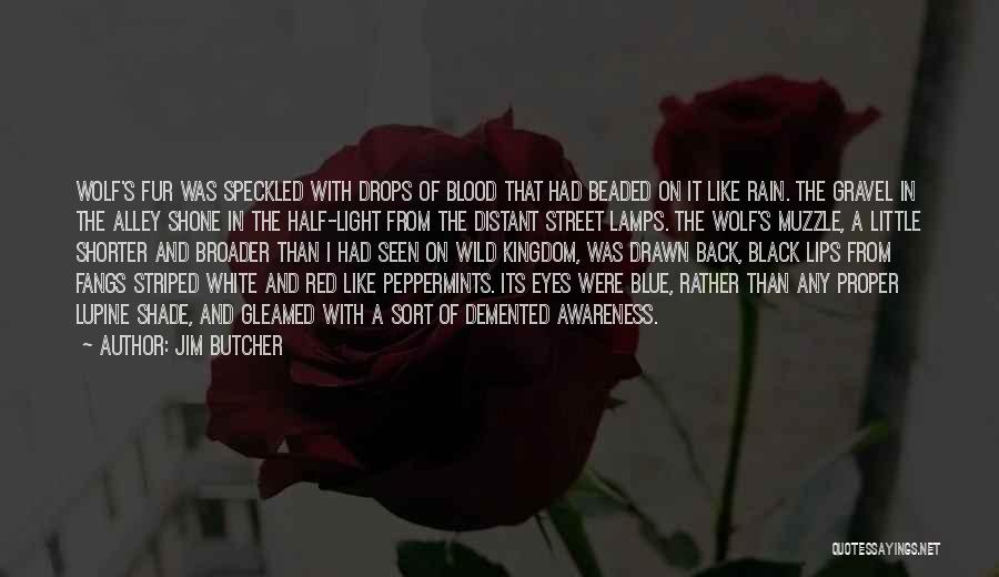 Jim Butcher Quotes: Wolf's Fur Was Speckled With Drops Of Blood That Had Beaded On It Like Rain. The Gravel In The Alley