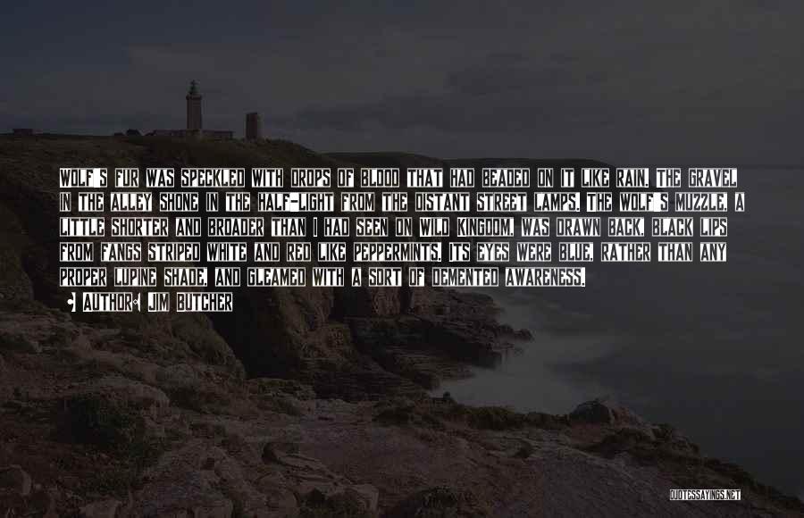 Jim Butcher Quotes: Wolf's Fur Was Speckled With Drops Of Blood That Had Beaded On It Like Rain. The Gravel In The Alley