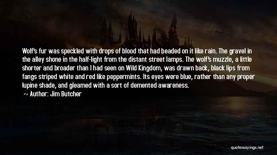 Jim Butcher Quotes: Wolf's Fur Was Speckled With Drops Of Blood That Had Beaded On It Like Rain. The Gravel In The Alley