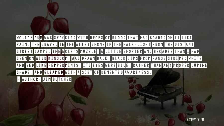 Jim Butcher Quotes: Wolf's Fur Was Speckled With Drops Of Blood That Had Beaded On It Like Rain. The Gravel In The Alley