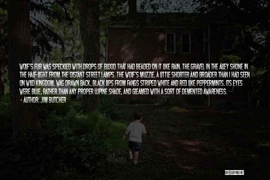 Jim Butcher Quotes: Wolf's Fur Was Speckled With Drops Of Blood That Had Beaded On It Like Rain. The Gravel In The Alley