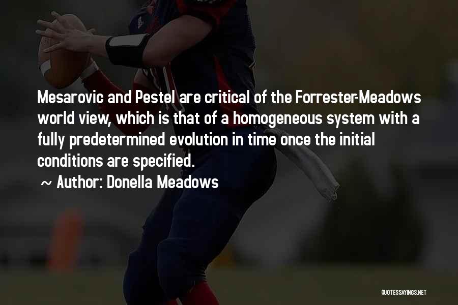 Donella Meadows Quotes: Mesarovic And Pestel Are Critical Of The Forrester-meadows World View, Which Is That Of A Homogeneous System With A Fully