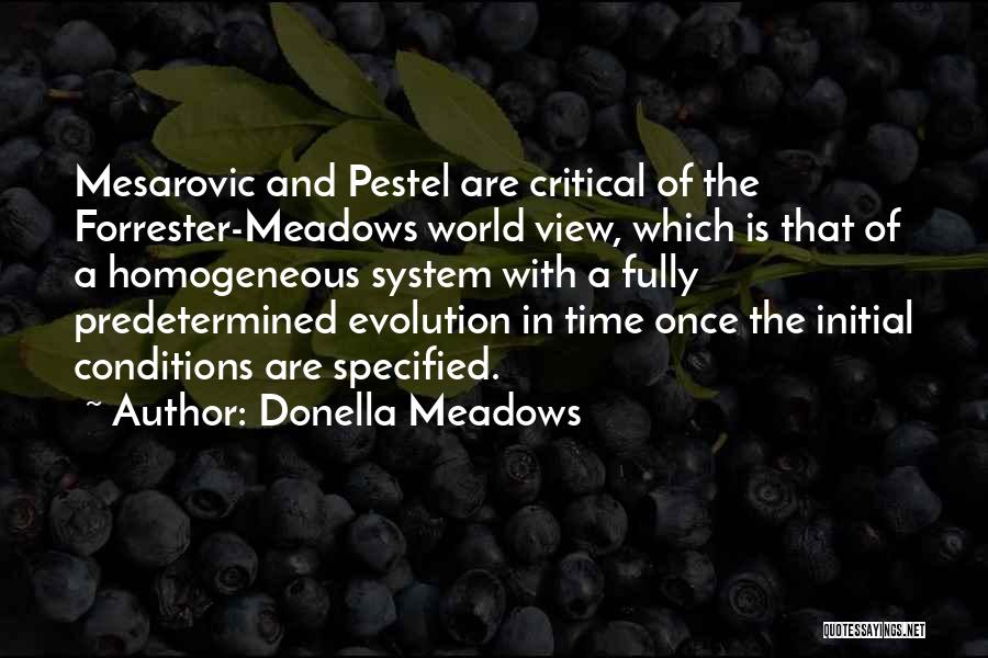 Donella Meadows Quotes: Mesarovic And Pestel Are Critical Of The Forrester-meadows World View, Which Is That Of A Homogeneous System With A Fully