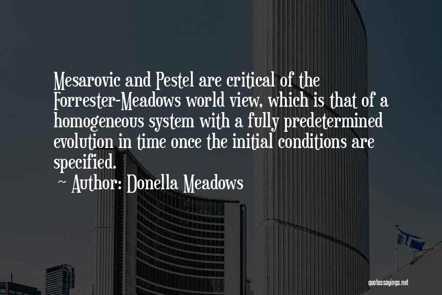 Donella Meadows Quotes: Mesarovic And Pestel Are Critical Of The Forrester-meadows World View, Which Is That Of A Homogeneous System With A Fully