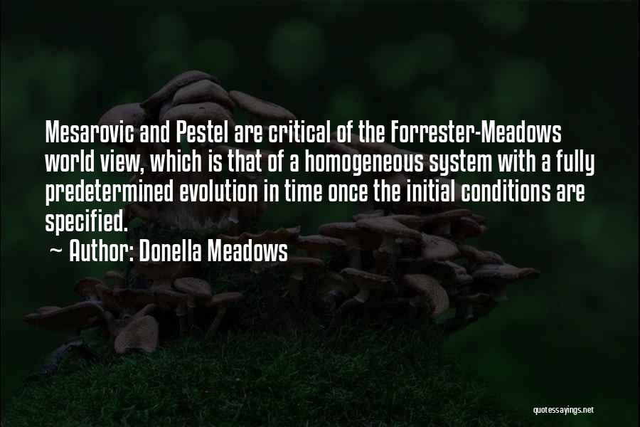 Donella Meadows Quotes: Mesarovic And Pestel Are Critical Of The Forrester-meadows World View, Which Is That Of A Homogeneous System With A Fully
