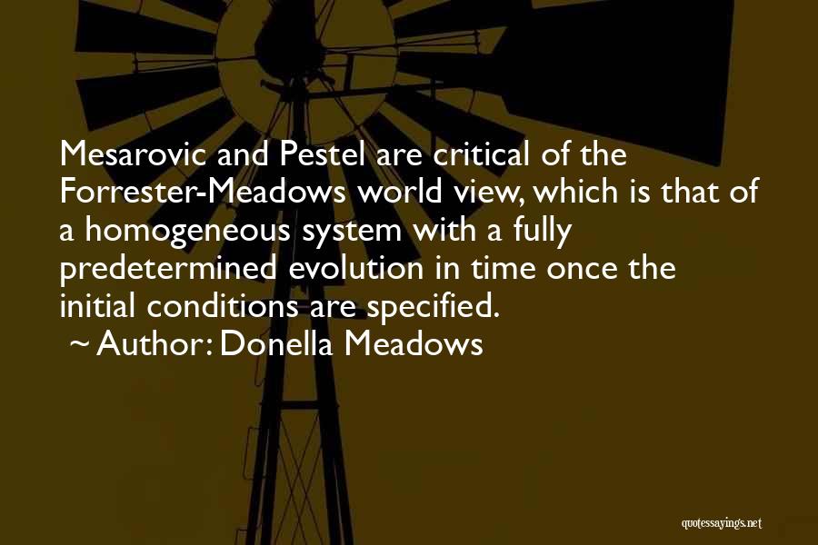Donella Meadows Quotes: Mesarovic And Pestel Are Critical Of The Forrester-meadows World View, Which Is That Of A Homogeneous System With A Fully