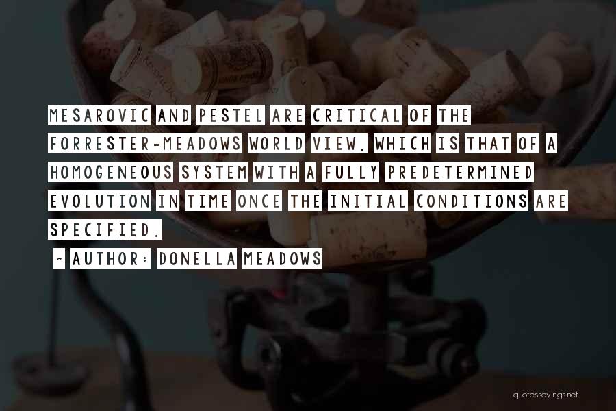 Donella Meadows Quotes: Mesarovic And Pestel Are Critical Of The Forrester-meadows World View, Which Is That Of A Homogeneous System With A Fully