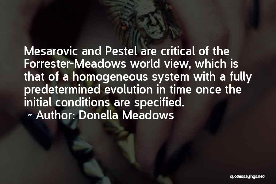 Donella Meadows Quotes: Mesarovic And Pestel Are Critical Of The Forrester-meadows World View, Which Is That Of A Homogeneous System With A Fully