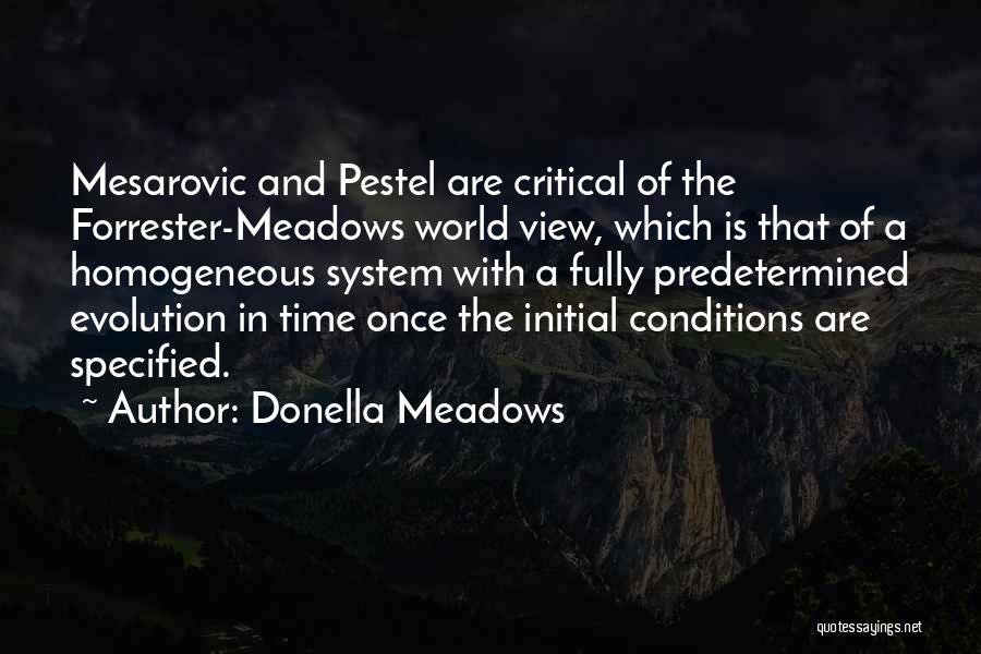 Donella Meadows Quotes: Mesarovic And Pestel Are Critical Of The Forrester-meadows World View, Which Is That Of A Homogeneous System With A Fully