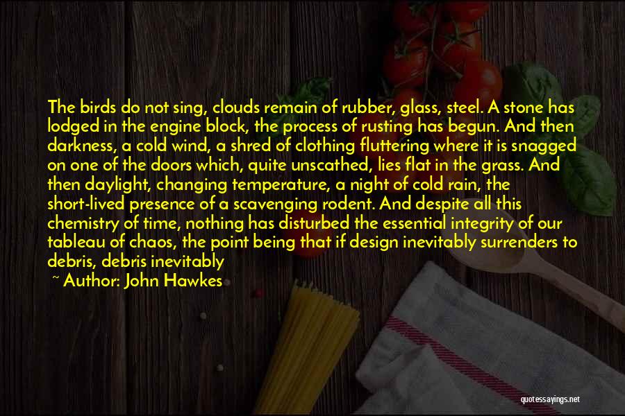 John Hawkes Quotes: The Birds Do Not Sing, Clouds Remain Of Rubber, Glass, Steel. A Stone Has Lodged In The Engine Block, The