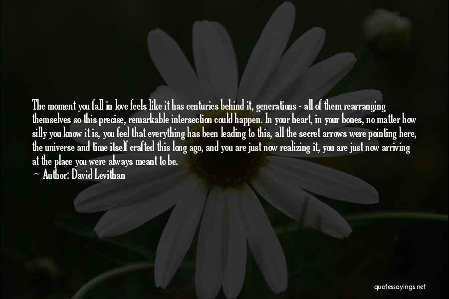 David Levithan Quotes: The Moment You Fall In Love Feels Like It Has Centuries Behind It, Generations - All Of Them Rearranging Themselves