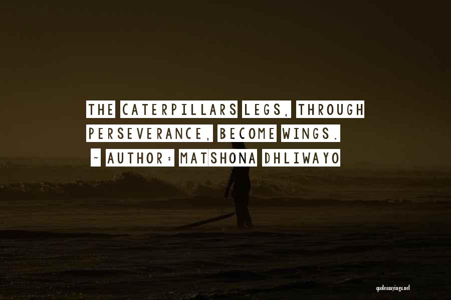 Matshona Dhliwayo Quotes: The Caterpillars Legs, Through Perseverance, Become Wings.