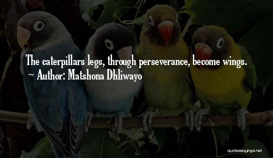 Matshona Dhliwayo Quotes: The Caterpillars Legs, Through Perseverance, Become Wings.