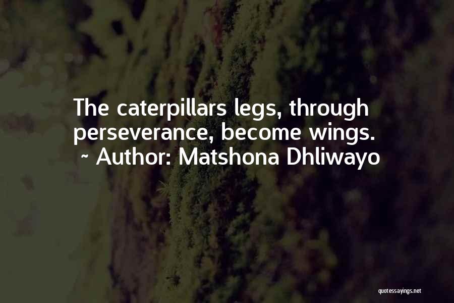 Matshona Dhliwayo Quotes: The Caterpillars Legs, Through Perseverance, Become Wings.