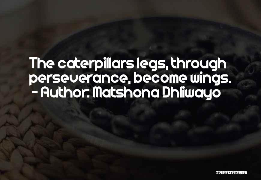 Matshona Dhliwayo Quotes: The Caterpillars Legs, Through Perseverance, Become Wings.