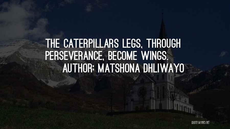 Matshona Dhliwayo Quotes: The Caterpillars Legs, Through Perseverance, Become Wings.