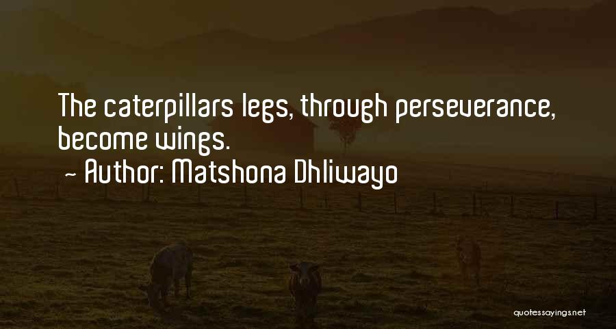 Matshona Dhliwayo Quotes: The Caterpillars Legs, Through Perseverance, Become Wings.