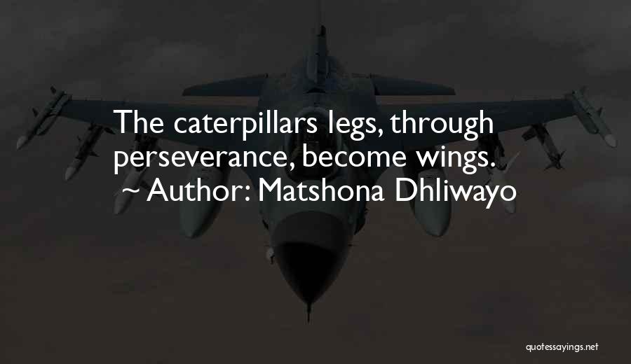 Matshona Dhliwayo Quotes: The Caterpillars Legs, Through Perseverance, Become Wings.