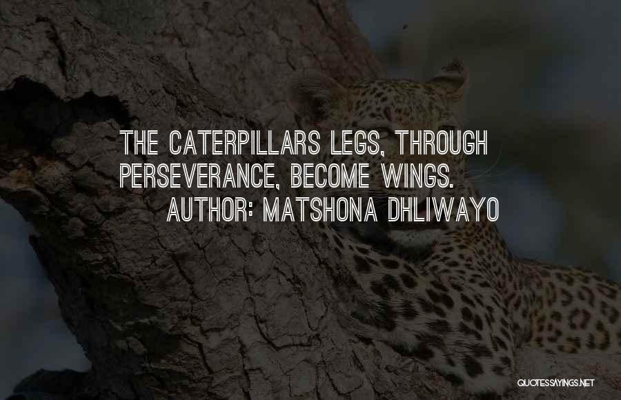 Matshona Dhliwayo Quotes: The Caterpillars Legs, Through Perseverance, Become Wings.