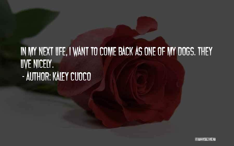 Kaley Cuoco Quotes: In My Next Life, I Want To Come Back As One Of My Dogs. They Live Nicely.
